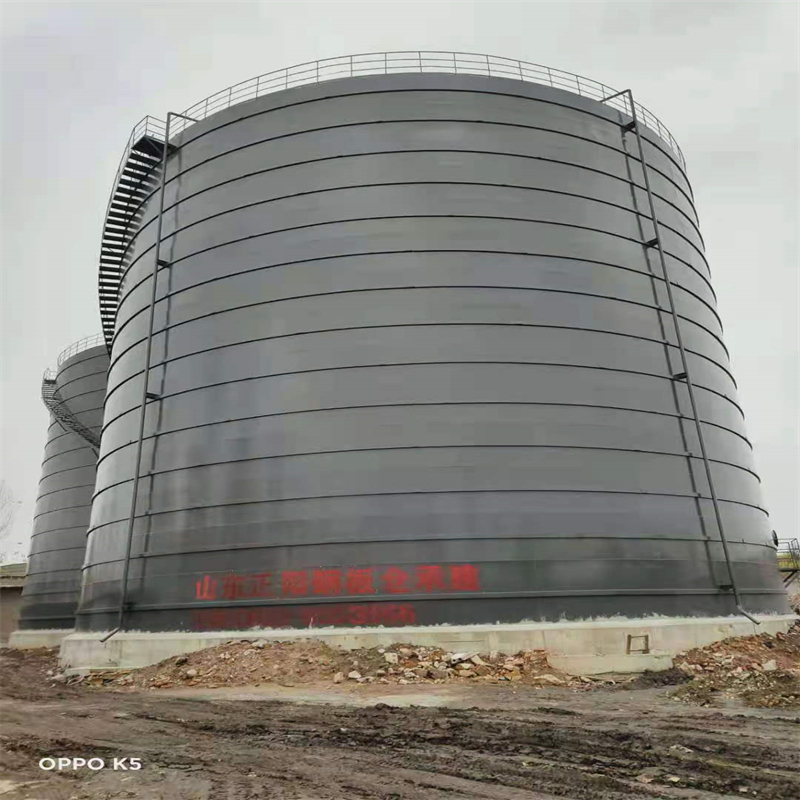 海港3万吨大型钢板库